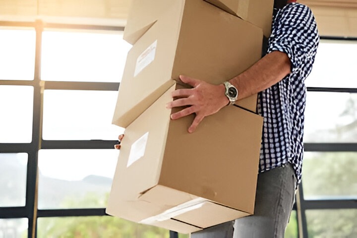 Movers carrying boxes